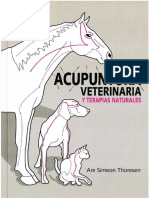 acupuntura veterinaria.pdf