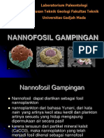 Materi Nannofossils