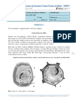 Teste 5.ºAnoV2 6ºteste 14-15