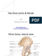 Pelvic, Hip-Knee Joints & Rehab
