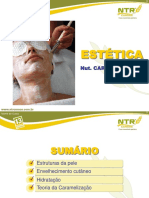 Aula 1 Estética