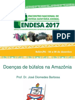 2 Doenças de Búfalos Na Amazônia - José Diomedes