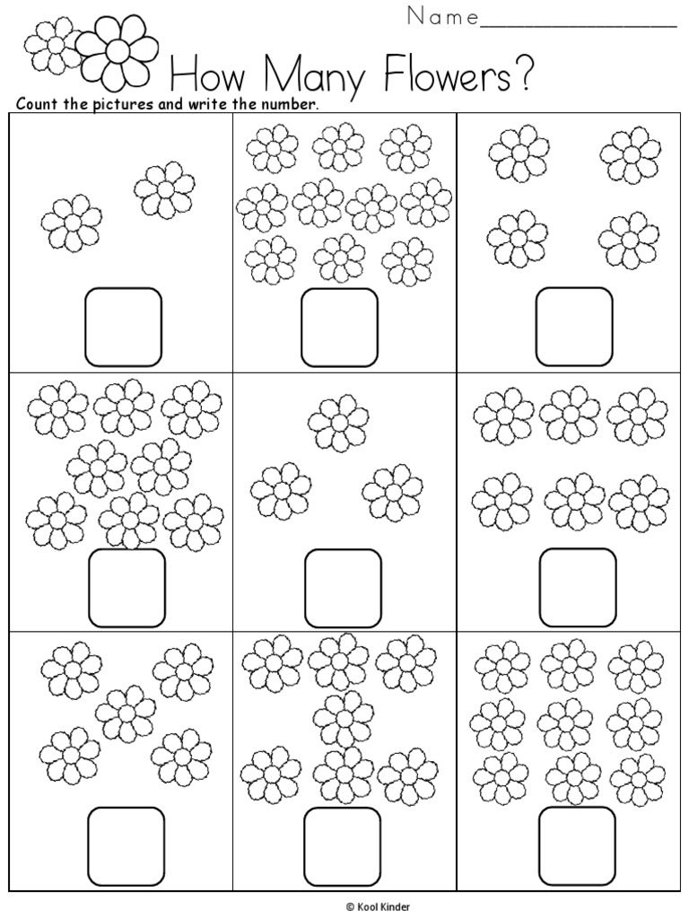 How Many Flowers Ist Grade PDF