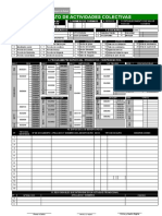 Formato de Actividades Colectivas