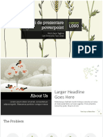 Idei de Prezentare Powerpoint