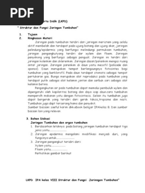 Lkpd Struktur Dan Fungsi Jaringan Tumbuhan