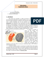 Respiração Celular PDF