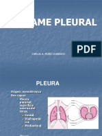 Derrame Pleural Muro