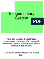 integumentary structure of the skin