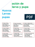 Clasificación de Huevo