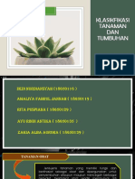 Klasifikasi Tanaman DN Tumbuhan