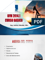 Curso Ofm Básico PDF