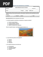 Prueba La Enerigia Ciencias Fotosintesis