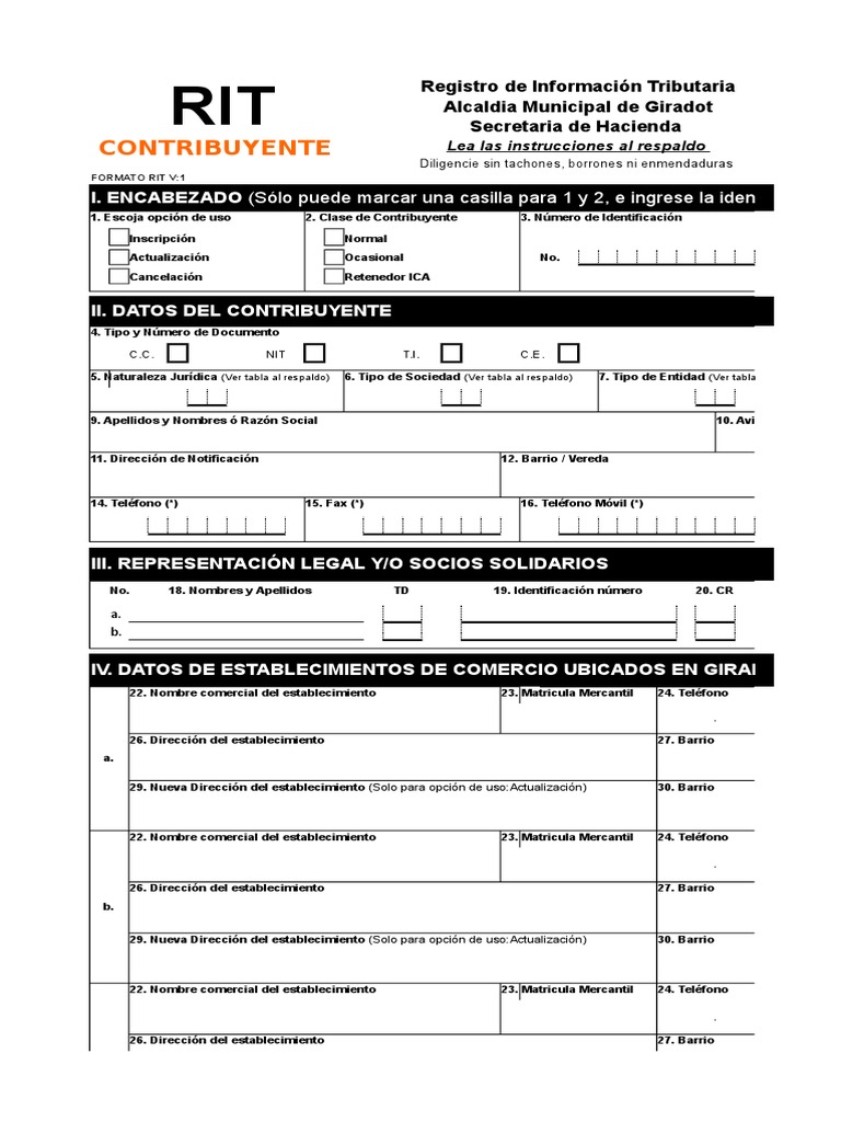 Formulario Registro Información Tributaria Rit (1