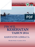 Narasi Profil Kesehatan Lembata 2014 - 2015