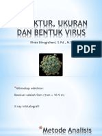 2.struktur, Ukuran Dan Bentuk Virus