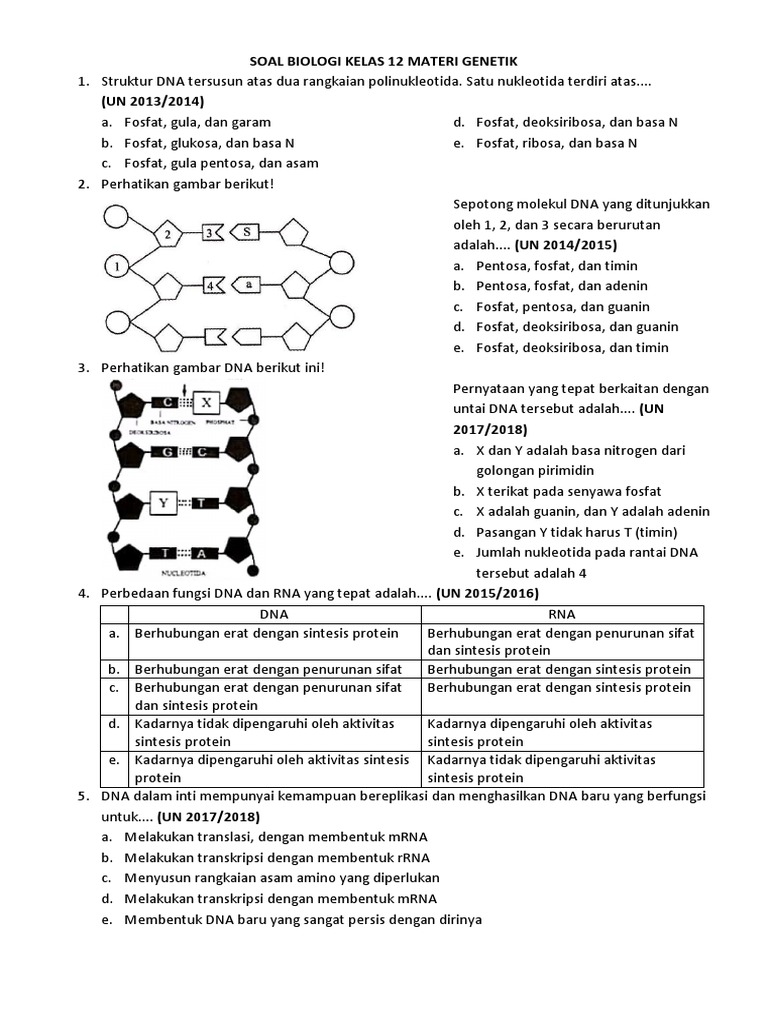Soal Genetik Kelas 12 dan Sintesis DNA | PDF