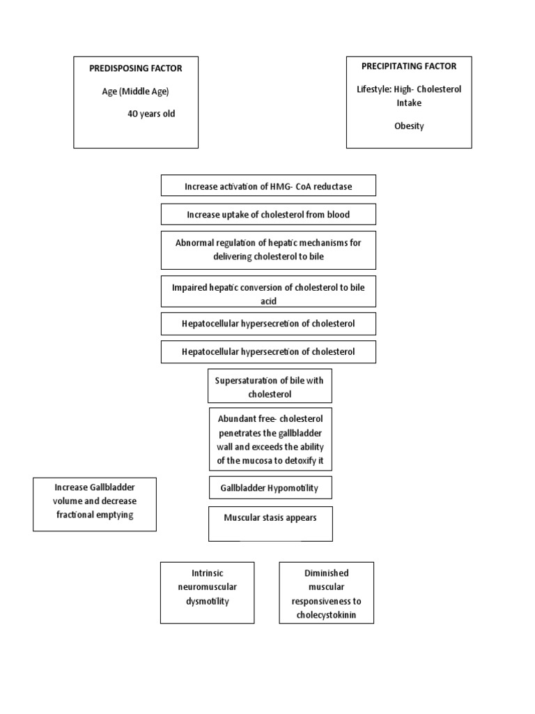 Gallstone Formation and Cholecystitis Insights | PDF | Gallbladder | Bile