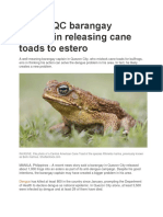 Oops? QC Barangay Goofed in Releasing Cane Toads To Estero: Dengue