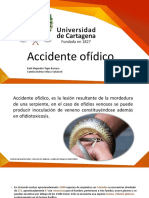 Accidente Ofidico Cami V