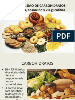 Cap3a MetabolismoCHO PDF