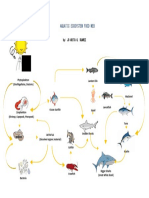 Aquatic Ecosystem Food Web Diagram Explained