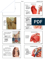 Anatomia-1-LOCOMOTOR-superior-USA-2018-ACTUALIZADO-modi-ALU.pdf