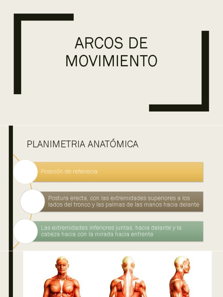 Planos Para Hacer Un Arco Recurvo Pdf
