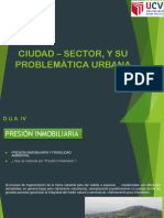 Ciudad - Sector, y Su Problemática Urbana