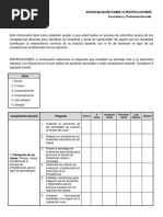 Instrumento Autoevaluacion