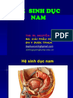 GP He Sinh Duc Nam YDN18