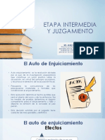 Etapa Intermedia y Juzgamiento