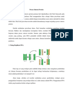 Proses Sintesis Protein