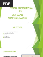 Uveitis Presentation Ridge Hospital