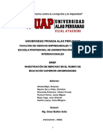 Brief Final-Educación Superior (Universidades)