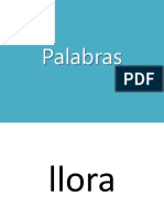 Palabras y Pesudapalbras