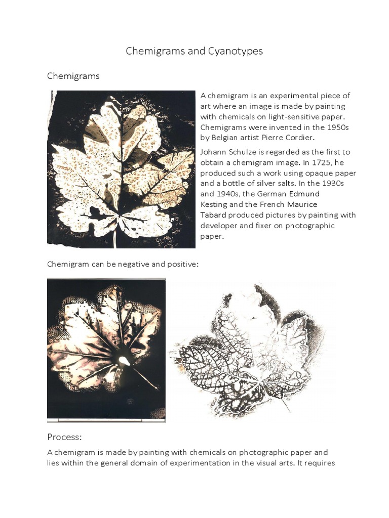 Chemigrams and Cyanotypes | PDF | Imaging | Optics