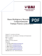 Calvo Ricci, Lupo, Millicay, Pacecca, Zelaya - TP Segundo Parcial - 1B Ituzaingo I JUL2019