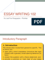 Essay Writing 102