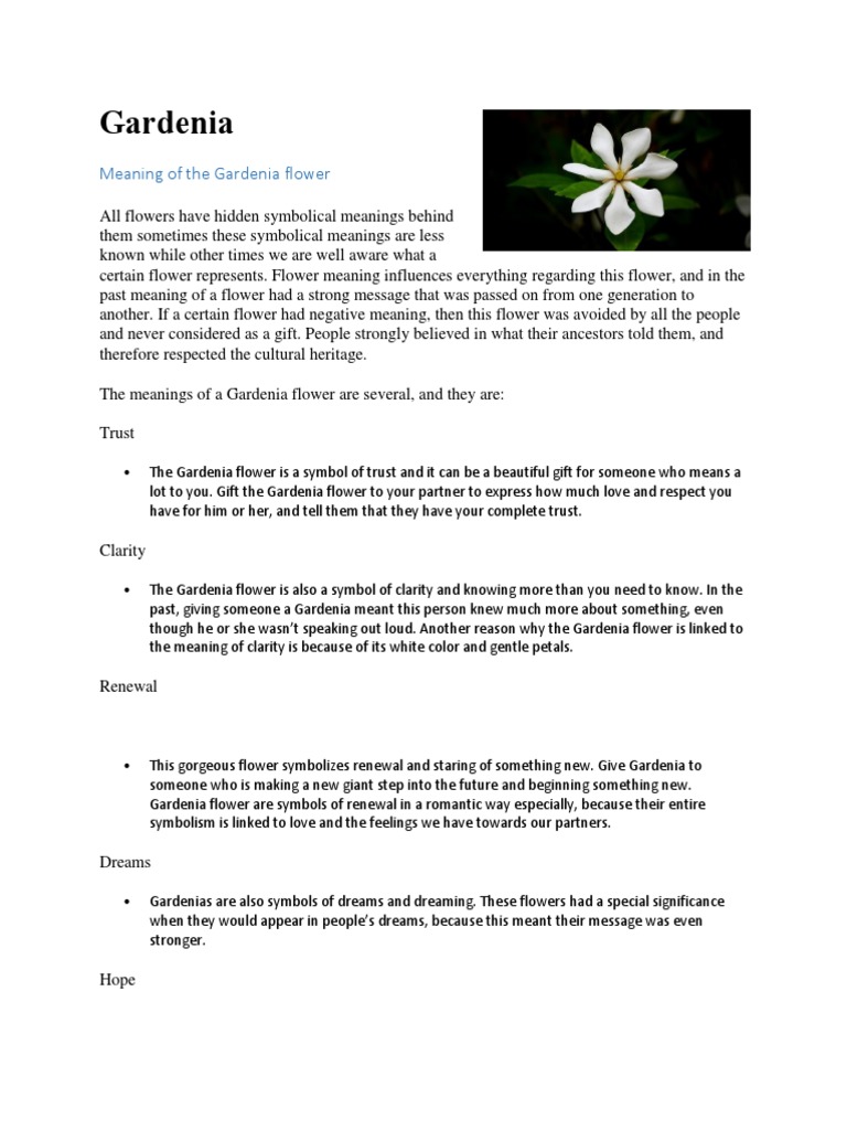 The Meaning and Symbolism of the Gardenia Flower | PDF | Flowers | Plants