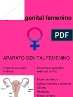 Aparato Genital Femenino 2015