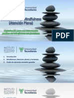 Introducción A Mindfulness