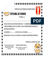 Diploma de Honor Voley