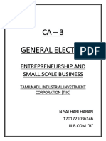 Small Scale Financial Institution