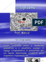 O Citoplasma