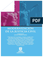 Modernizacionjusticiacivil PDF