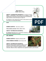 PLANTAS.docx