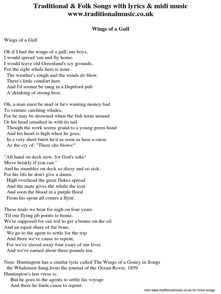 Wings Of A Gull Lyrics