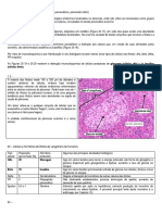 62a2 - SISTEMA ENDÓCRINO - Pâncreas - Ilhotas de Langerhans - Histologia