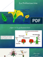 La Polinización